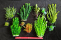 Premium Artificial Aquarium Plant Package for Fish Tank, LARGE GARDEN