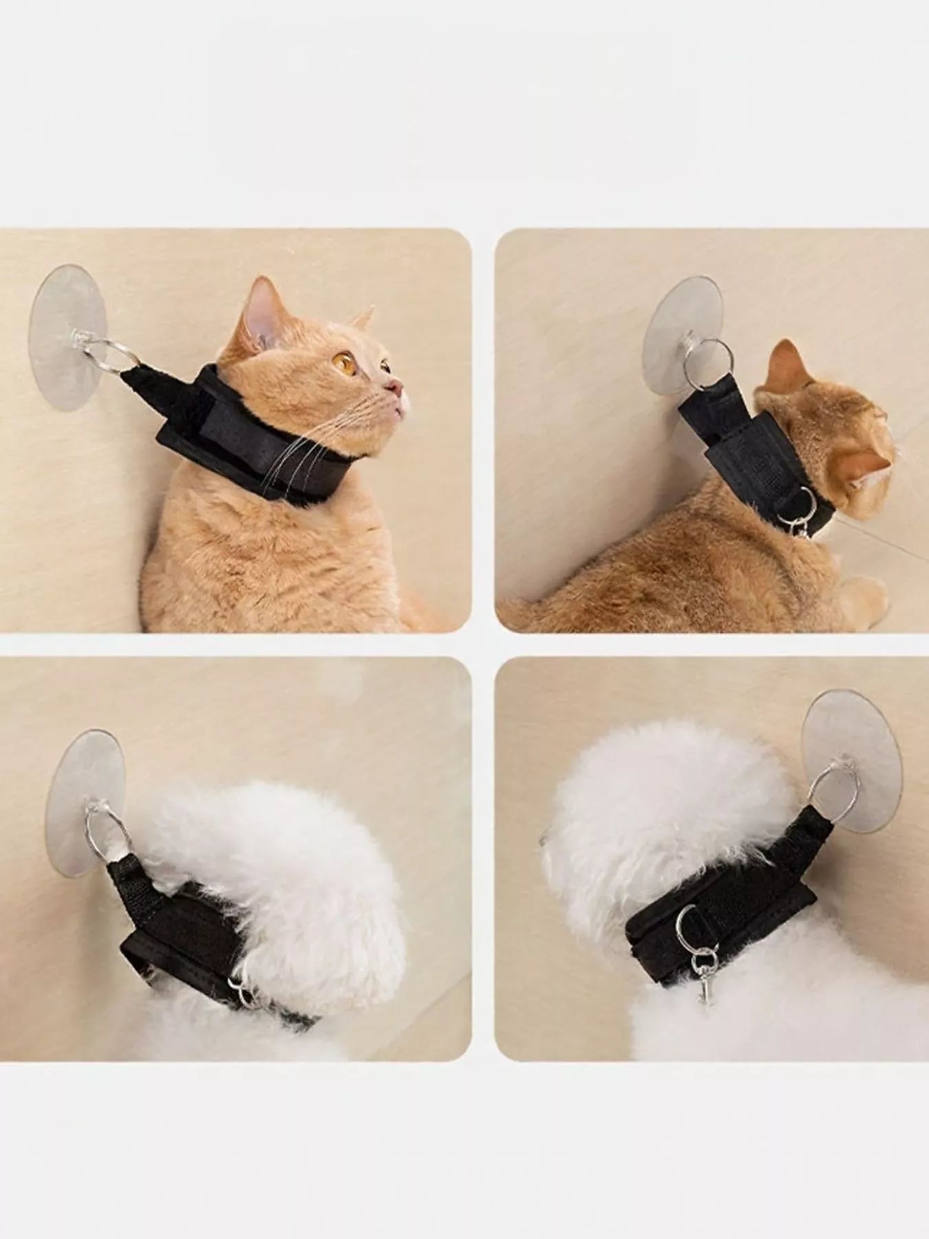 Adjustable Breakaway Cat Collar with Suction Cup Leash