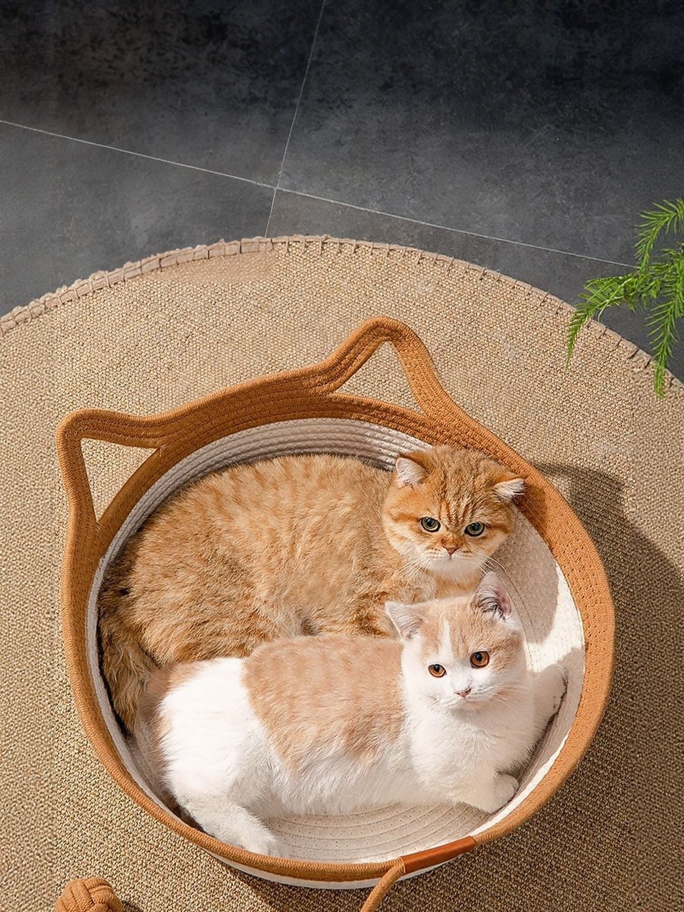 Cat Ear Woven Pet Nest