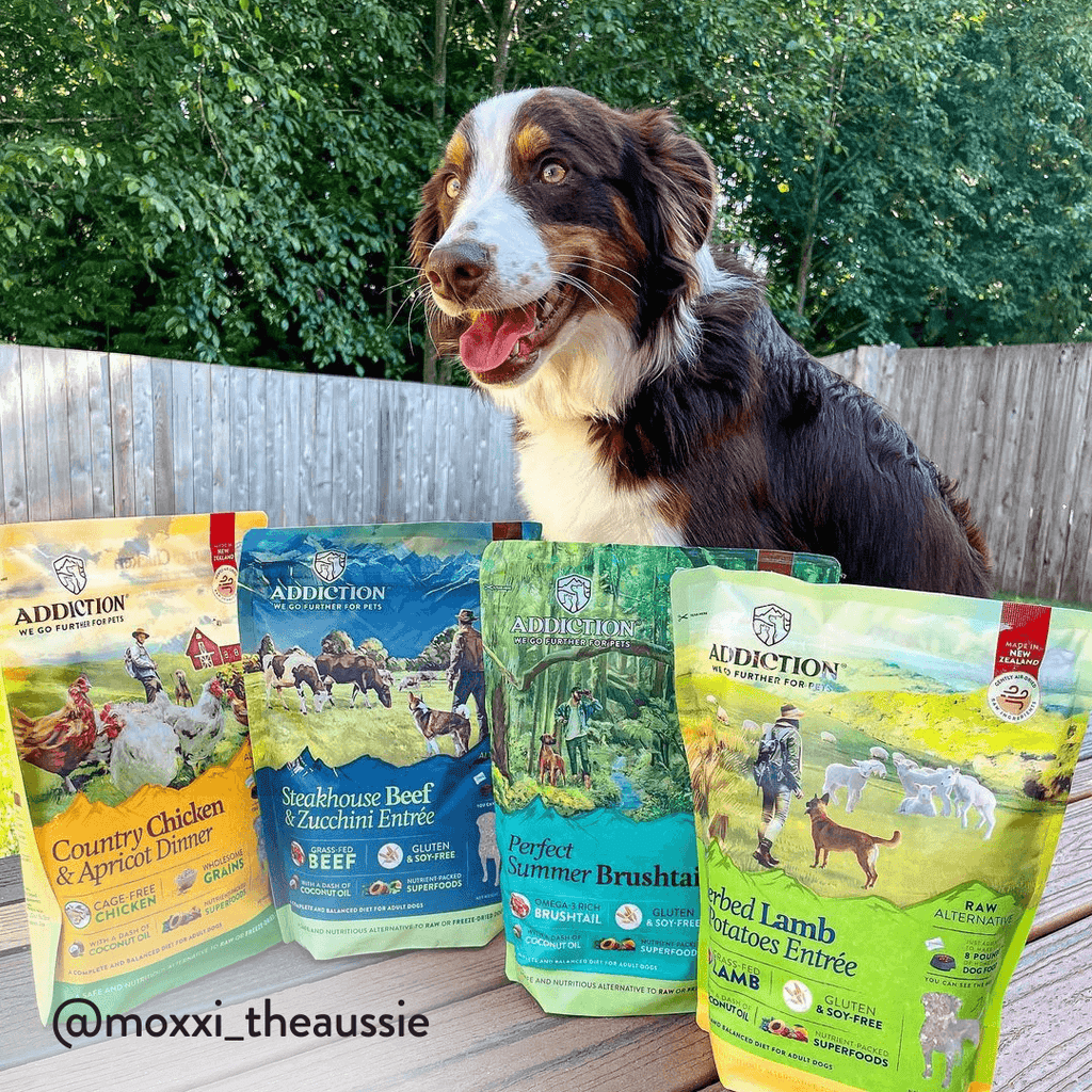 Steakhouse Beef & Zucchini Air-Dried Dog Food