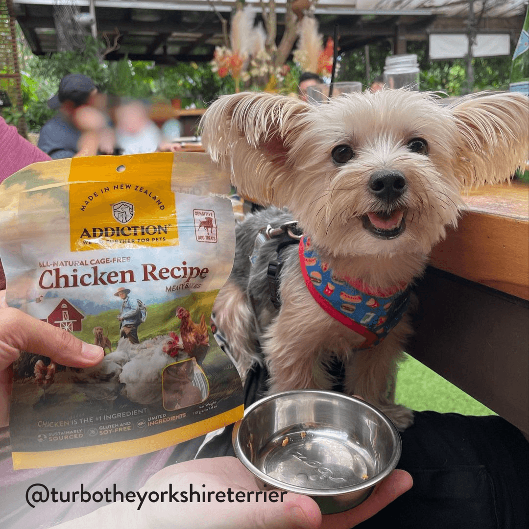 Chicken Meaty Bites - Hypoallergenic Dog Treats
