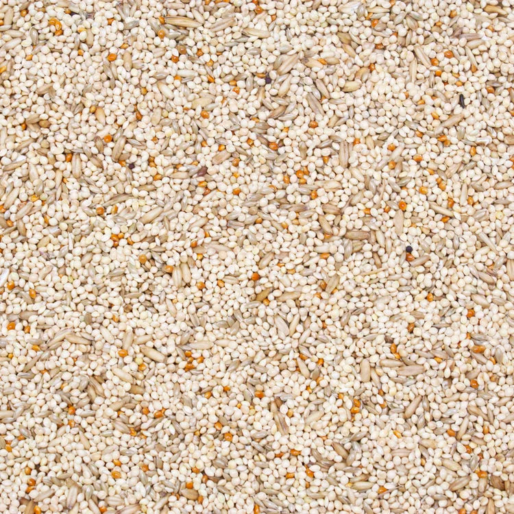 Higgings Supreme Finch Food 50 lbs. Natural Seed Blend for Healthy Birds