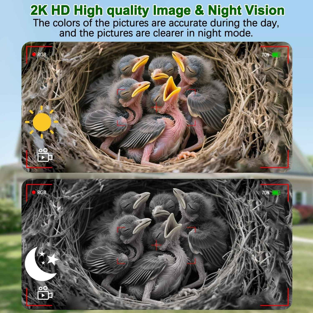 Bird House Camera Solar WiFi Smart Birdhouse HD Motion Detection 32GB