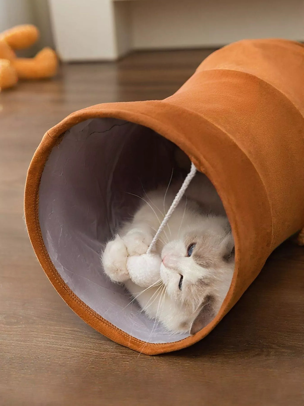 Foldable Cat Tunnel Toy