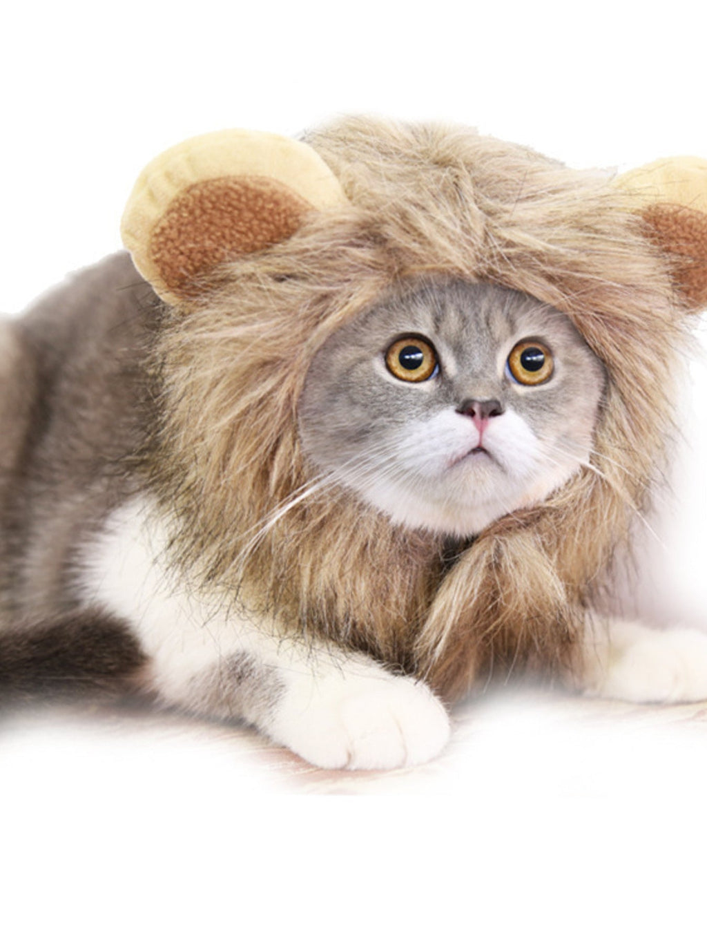 Lion Mane Pet Headwear