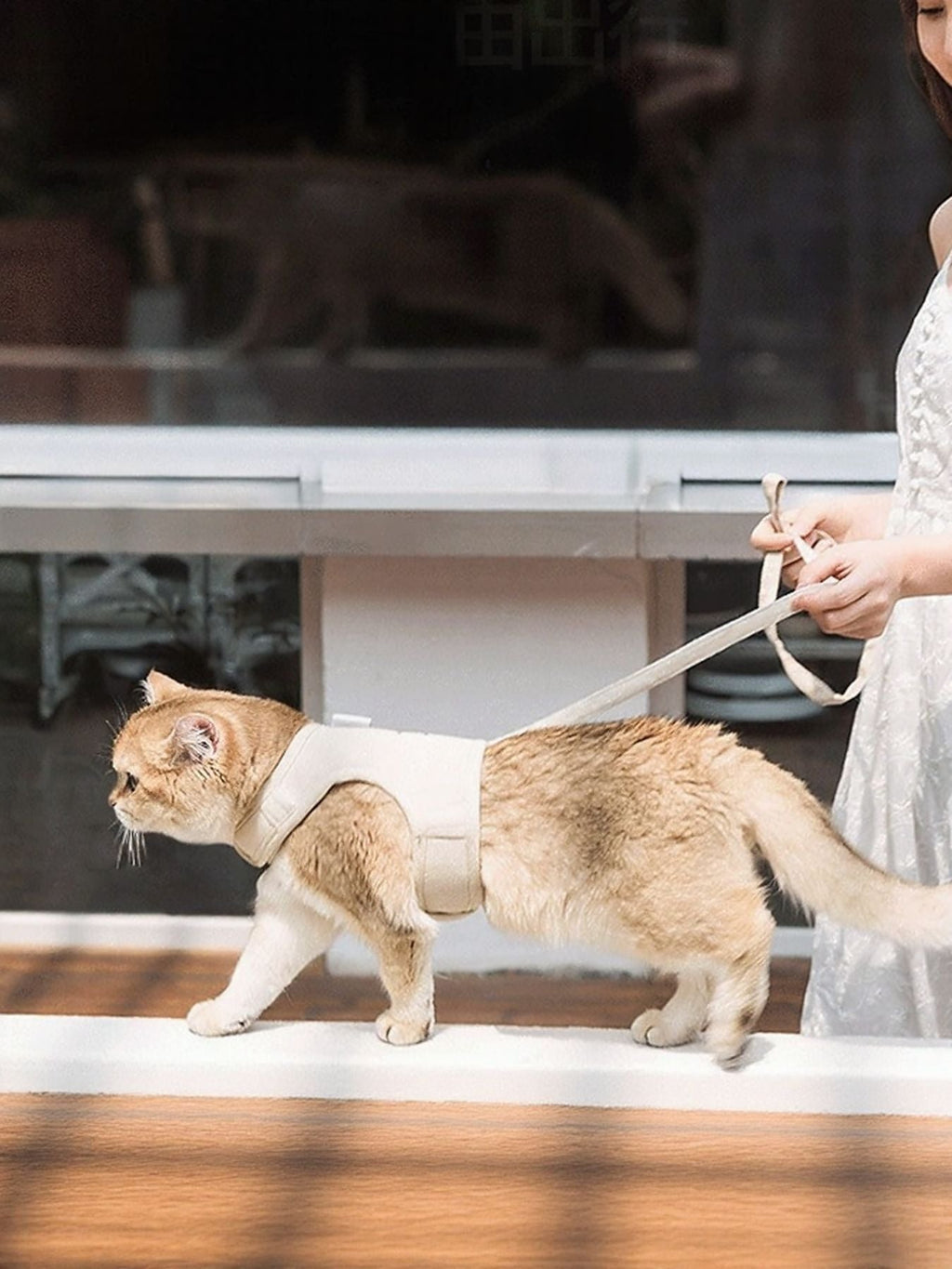 Breathable Pet Harness Leash Set
