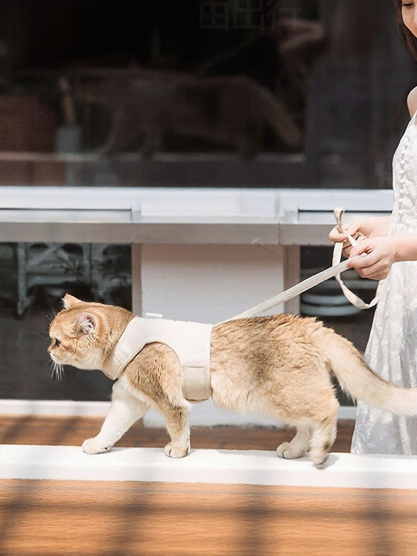 Breathable Pet Harness Leash Set