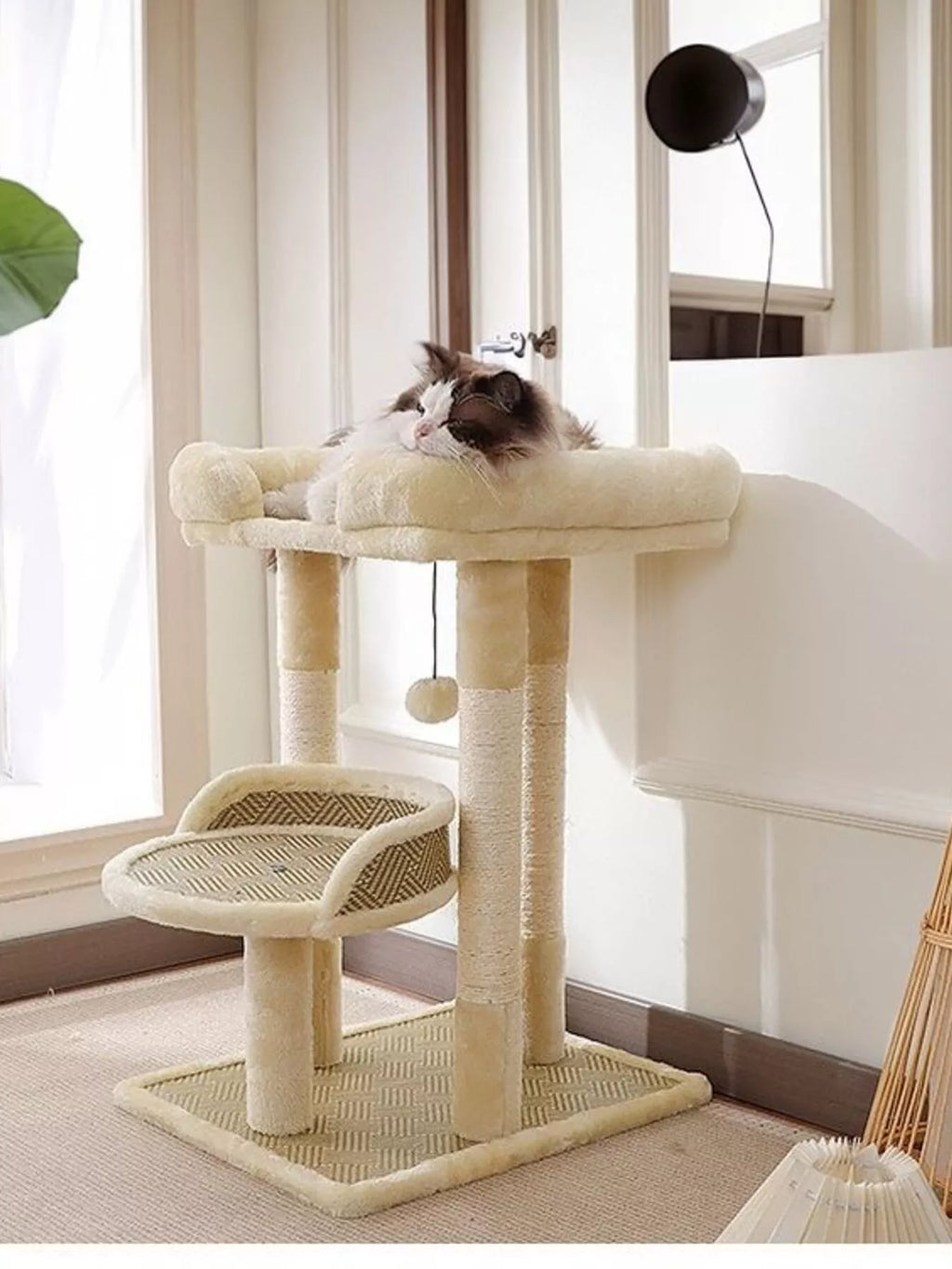 Plush Cat Tree Condo with Scratching Posts