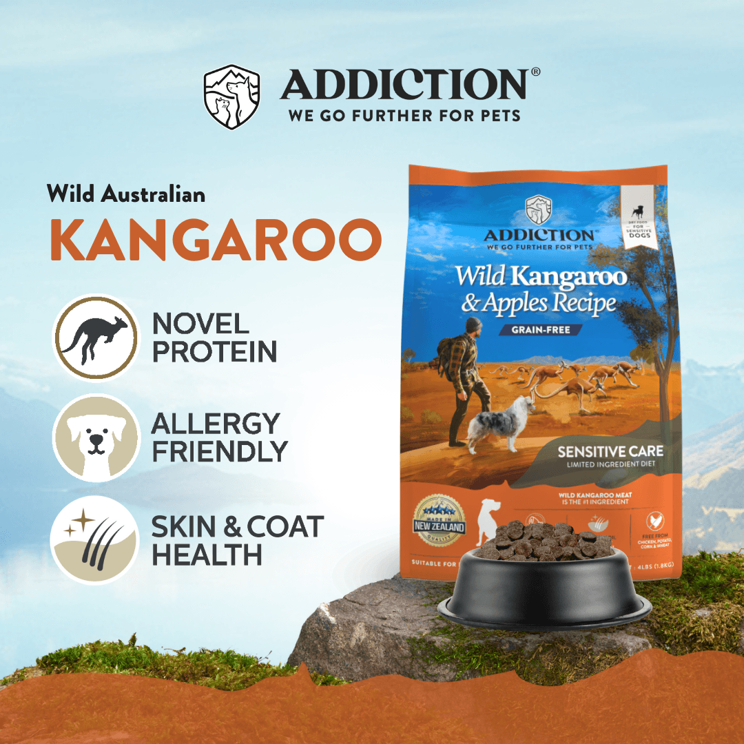 Addiction Wild Kangaroo Dry Dog Food & Meaty Bites Dog Treats Bundle