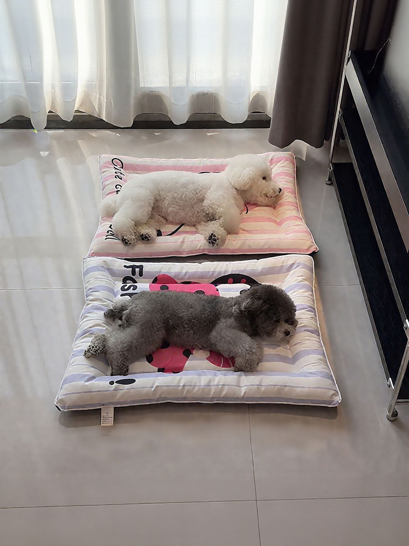 Cat Striped Pet Mat & Bed