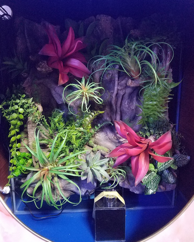RARE AQUARIUM ITEM, CANYON VIEW EXTEND HALF CYLINDER 25 gallon.