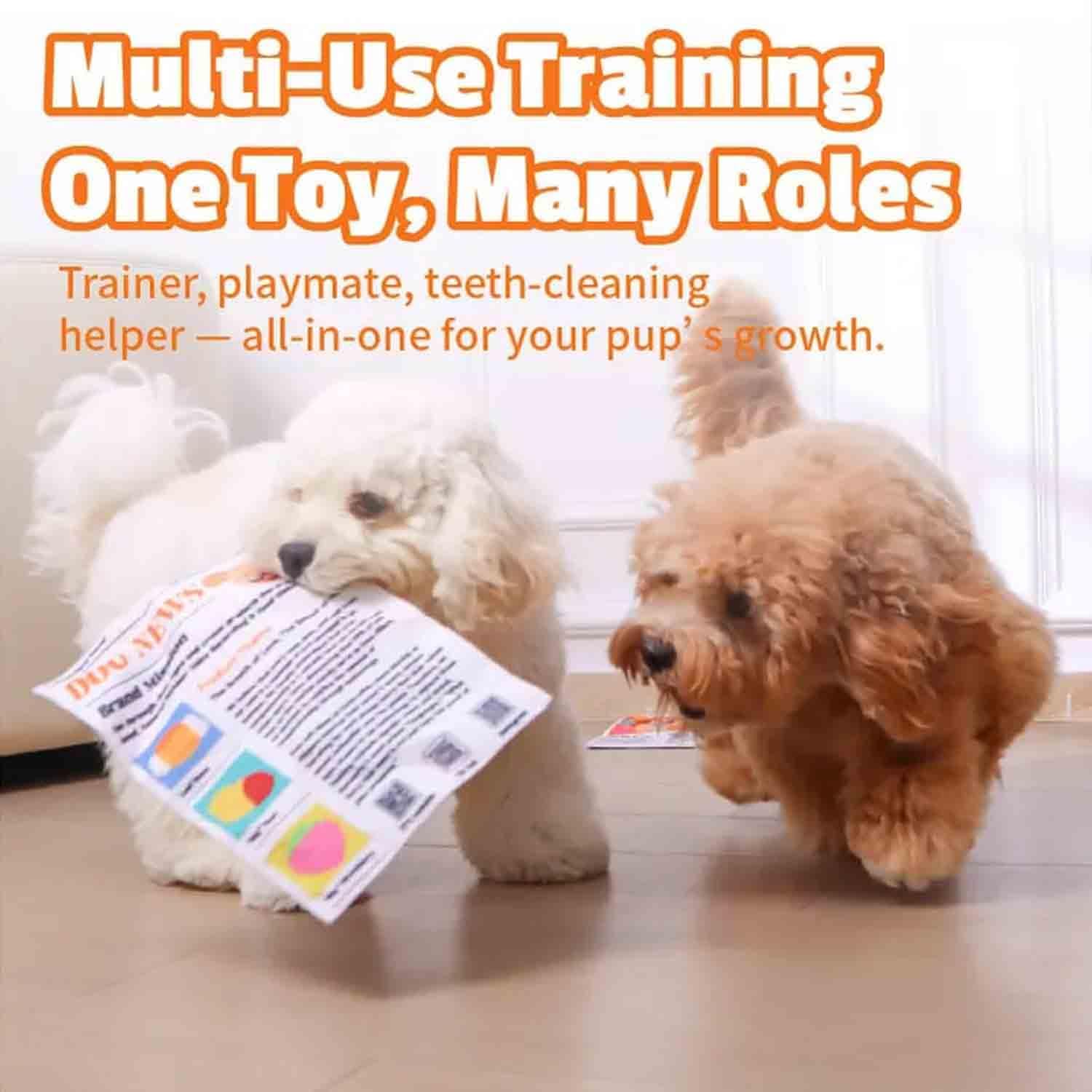 2-Pack Indestructible Newspaper Dog Toy, Creaks Newspaper Squeaker Toy For Dogs, Interactive Crinkle Dog Toy, Durable Washable Bite-Resistant Pet Toys For Small Medium Dogs Poodle Teddy