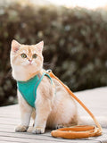 Escape-Proof Cat Harness and Leash Set