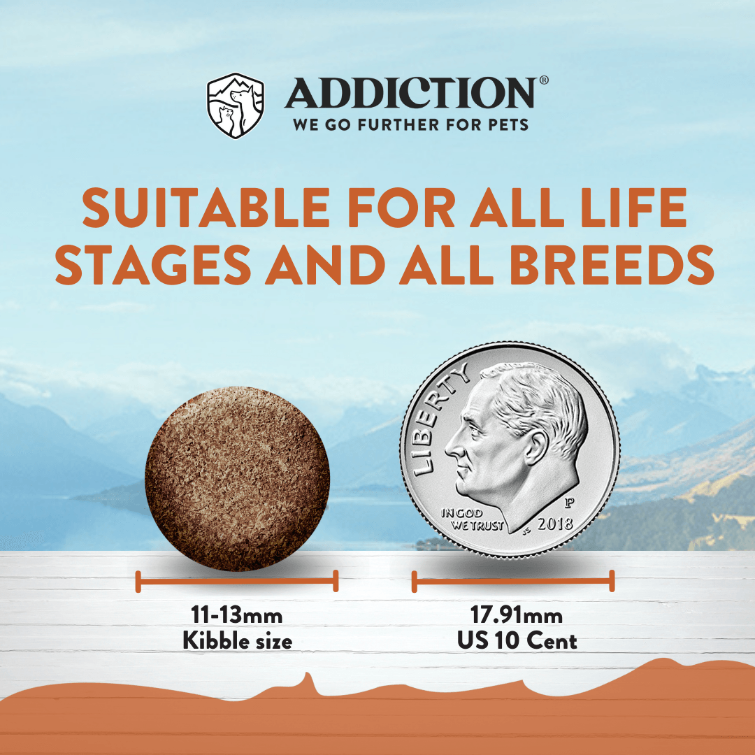 Wild Kangaroo & Apples Recipe Dry Dog Food