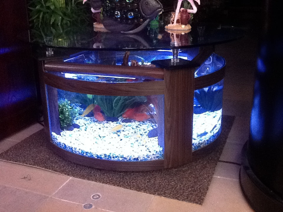 WARRANTY INCLUDED! 55 gallon GLASS round circle table aquarium fish tank setup WALNUT