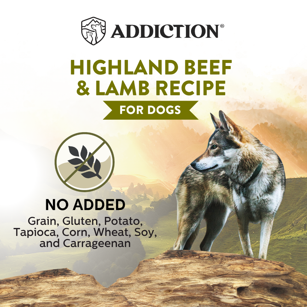Wild Islands Canned Dog Food Mix Flavor Bundle 185g