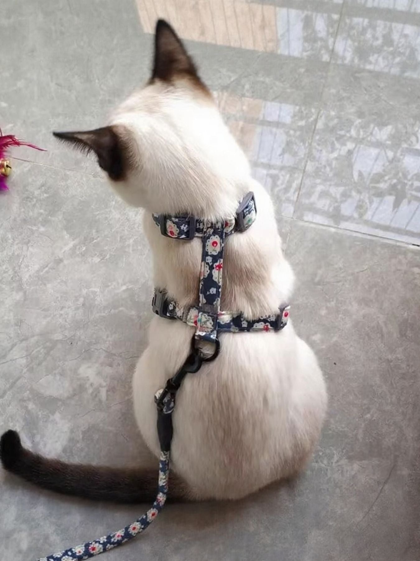 Escape Proof Cat Harness and Leash Set