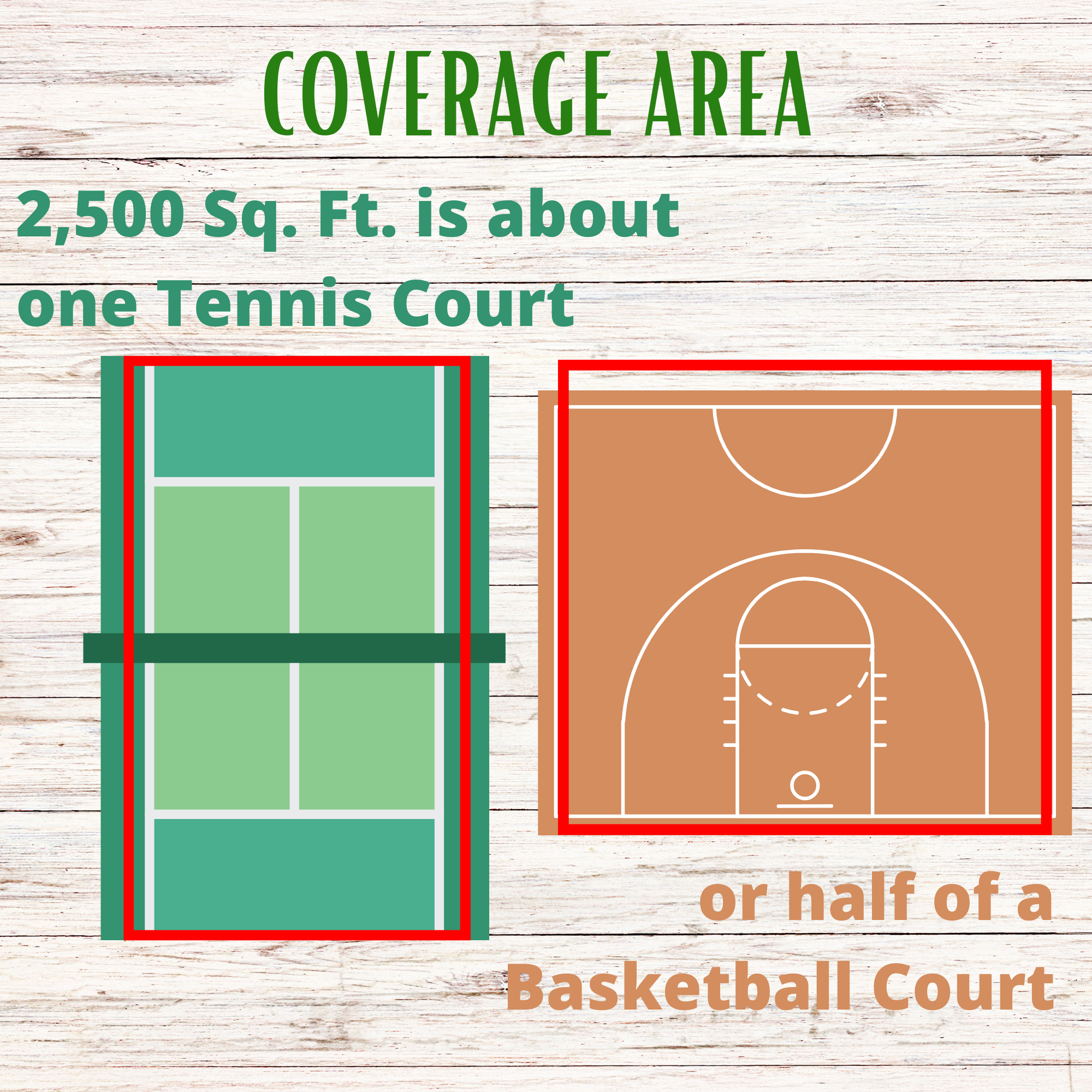 Thick Bee Lawn Seed Kit