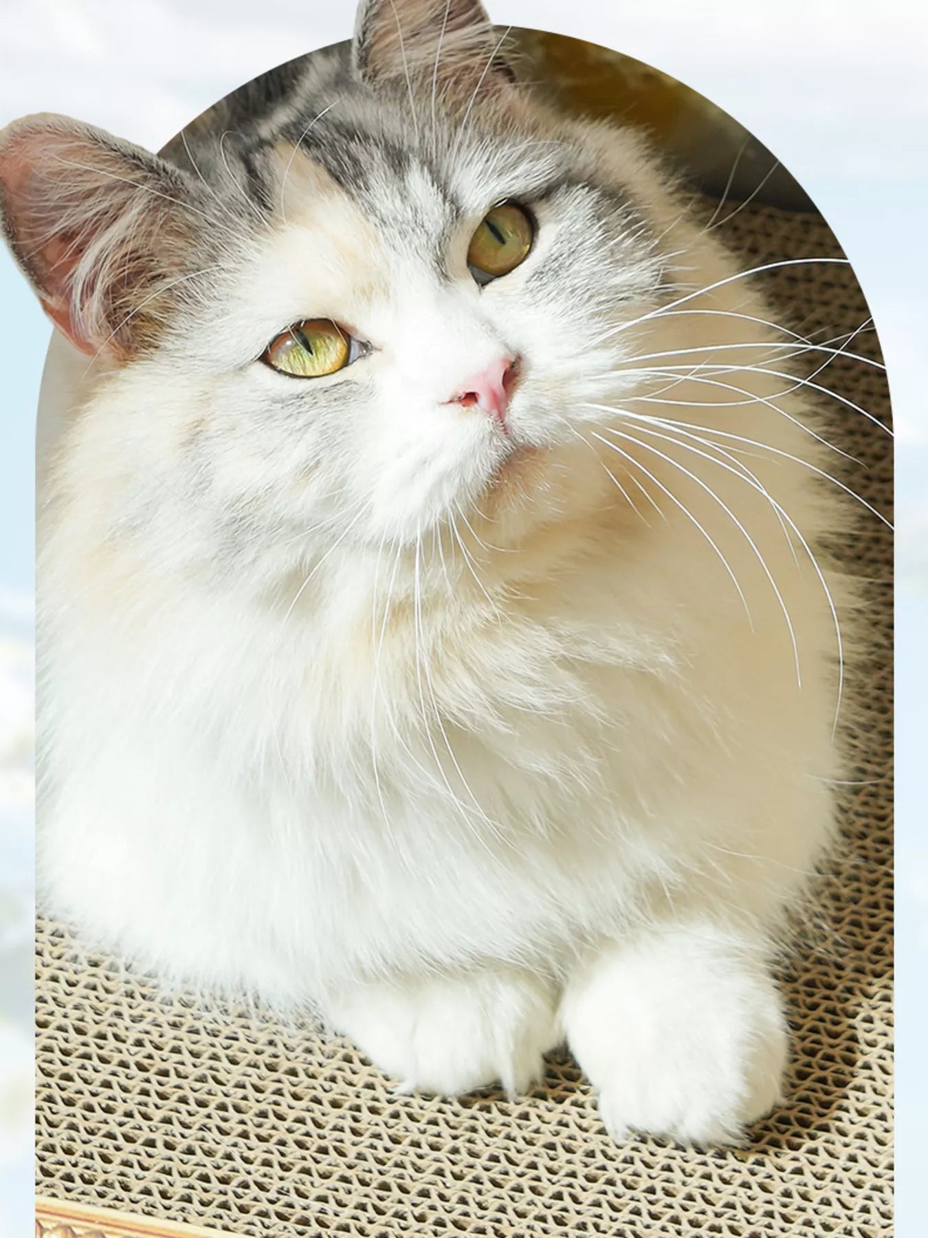 Artistic Frame Cat Scratcher Nest