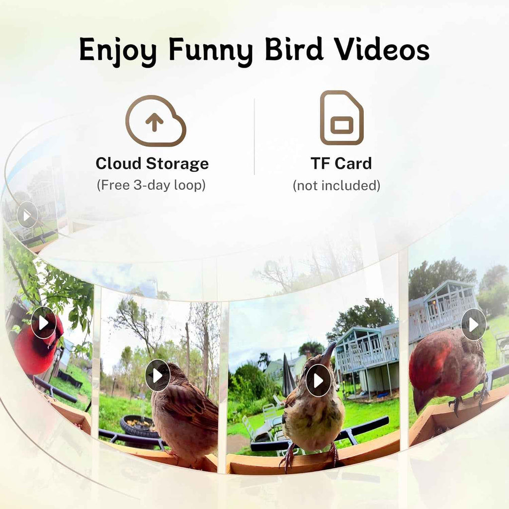 Bird Feeder Camera WiFi Smart AI Motion Detection 1080P 1.5L