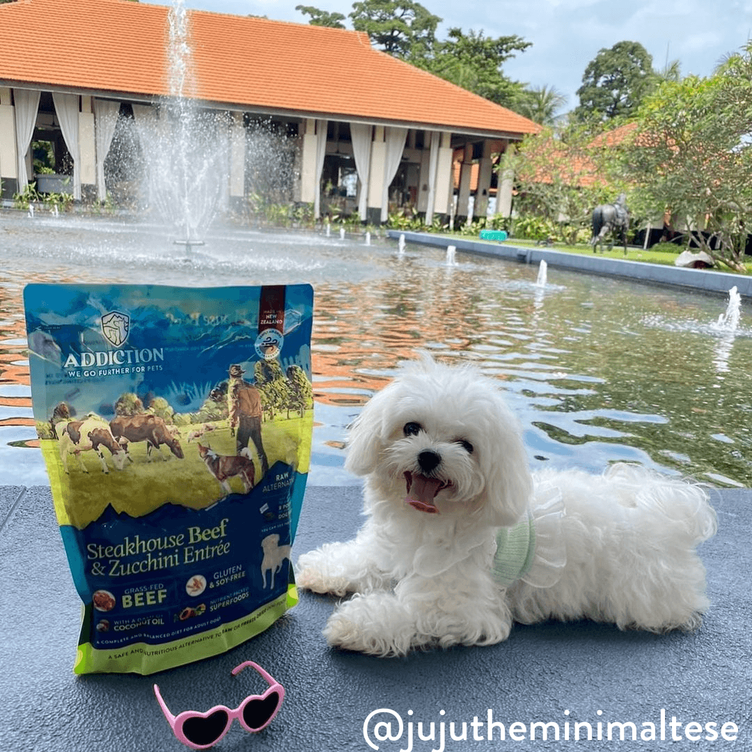 Steakhouse Beef & Zucchini Air-Dried Dog Food