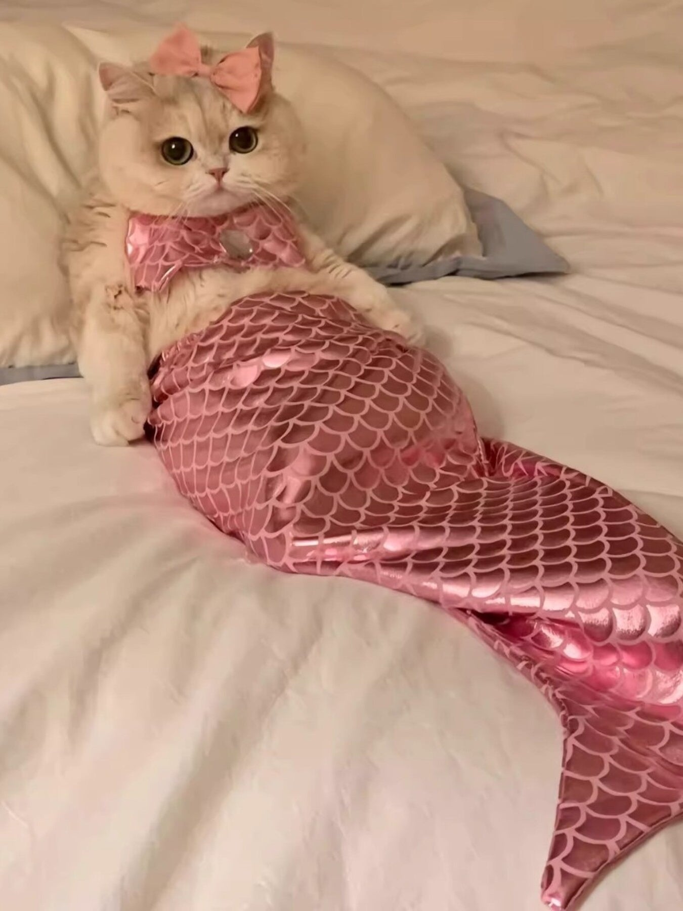 Shiny Mermaid Pet Costume Dress