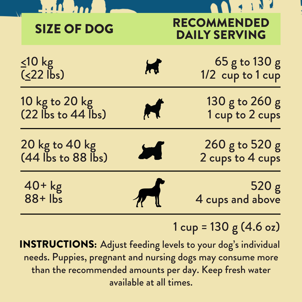 Steakhouse Beef & Zucchini Air-Dried Dog Food