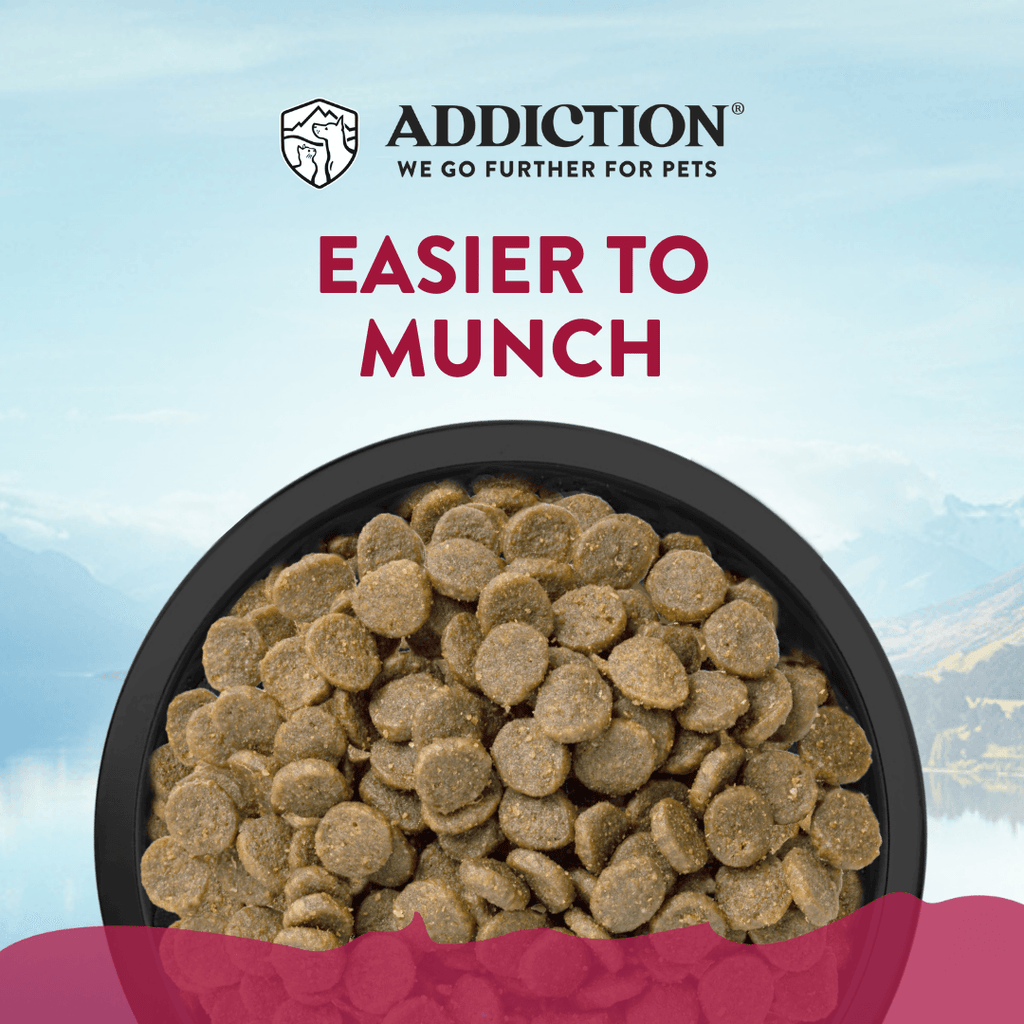 Addiction Viva La Venison Small Breed Dog Food & Meaty Bites Treats Bundle