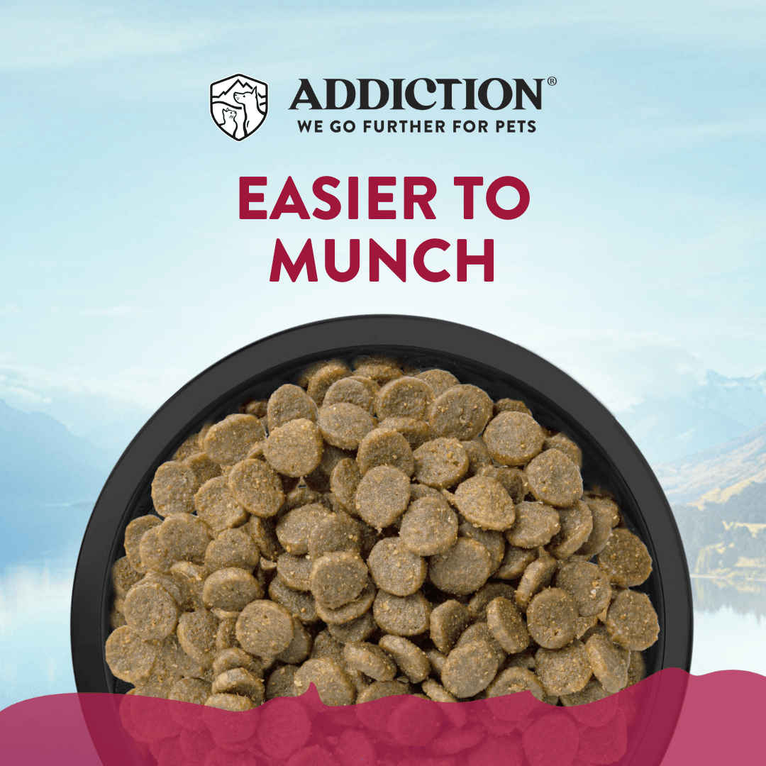 Addiction Viva La Venison Small Breed Dog Food & Meaty Bites Treats Bundle