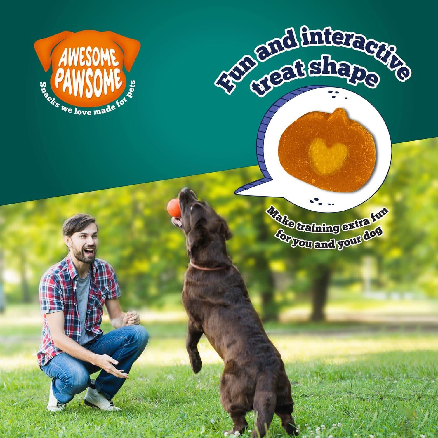 Addiction Zen Vegetarian Dog Food & Vegan Treats Bundle