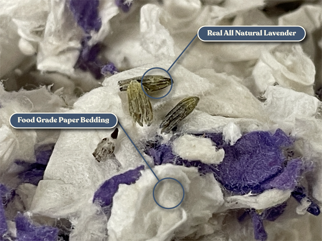 Rabbit Hole Hay Ultra Premium All Natural Lavender Bedding