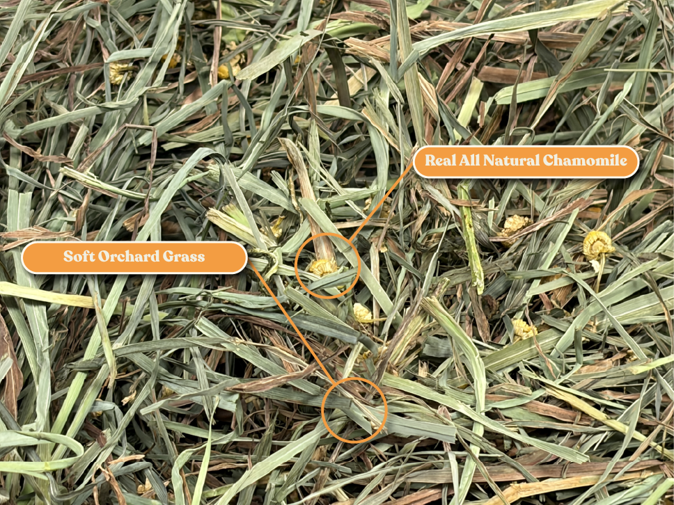 Rabbit Hole Hay Ultra Premium Chamomile Soft Orchard Grass
