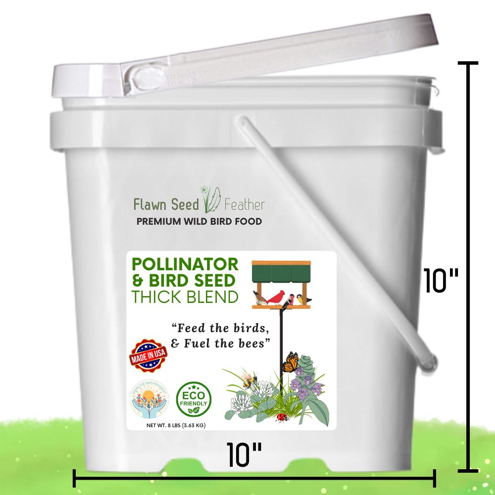 Pollinator & Wild Bird Seed Thick Bee Lawn Blend