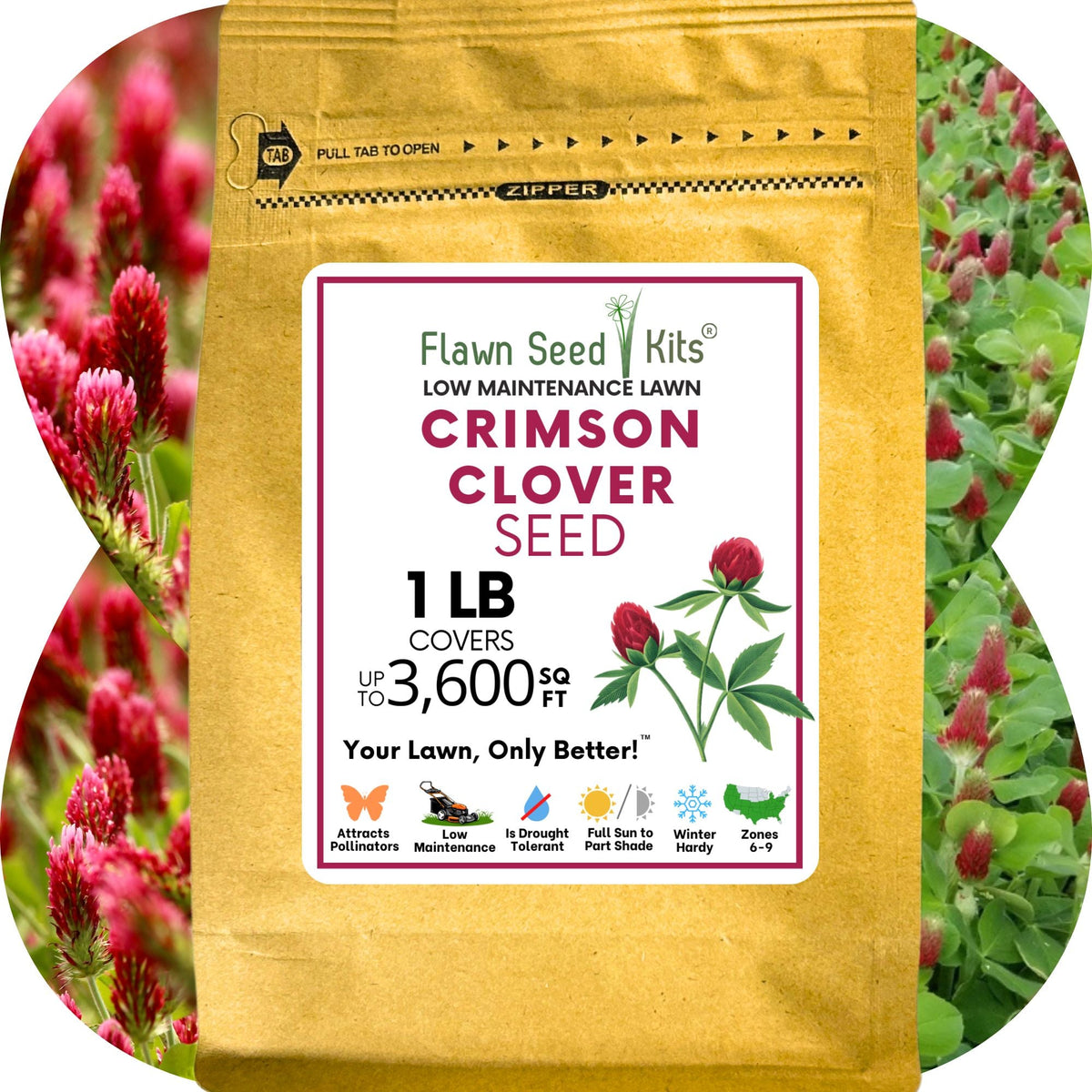 Crimson Clover Seed