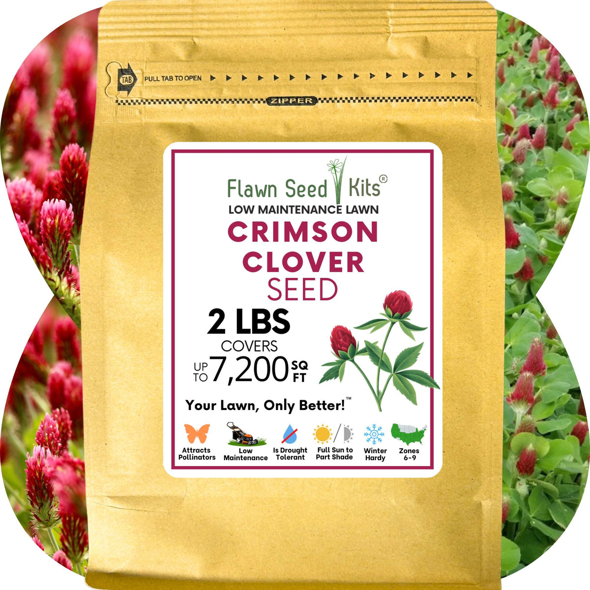 Crimson Clover Seed