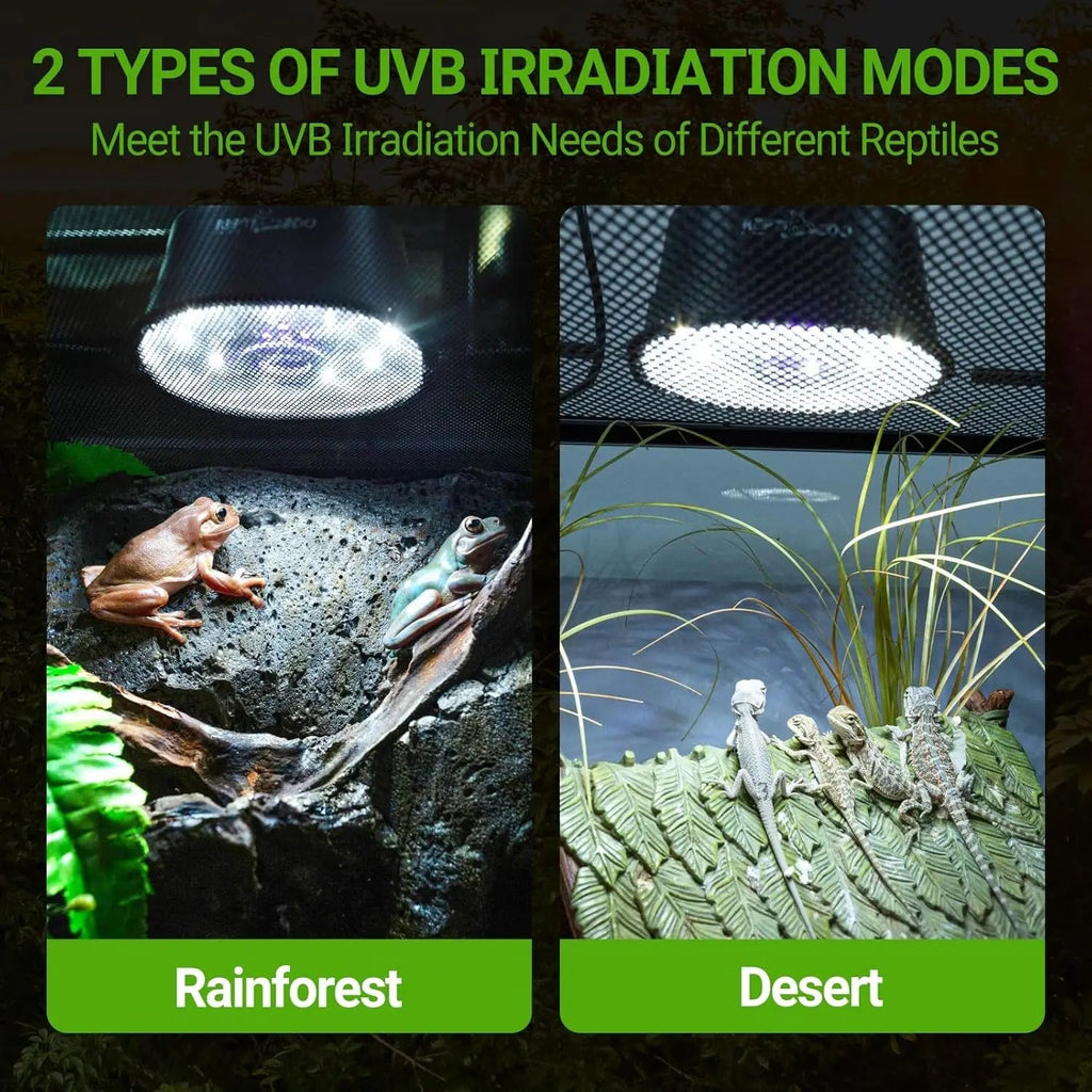 Dimmable UVB Reptile Light LED UVA UVB Lamp Tropical Desert Fixture