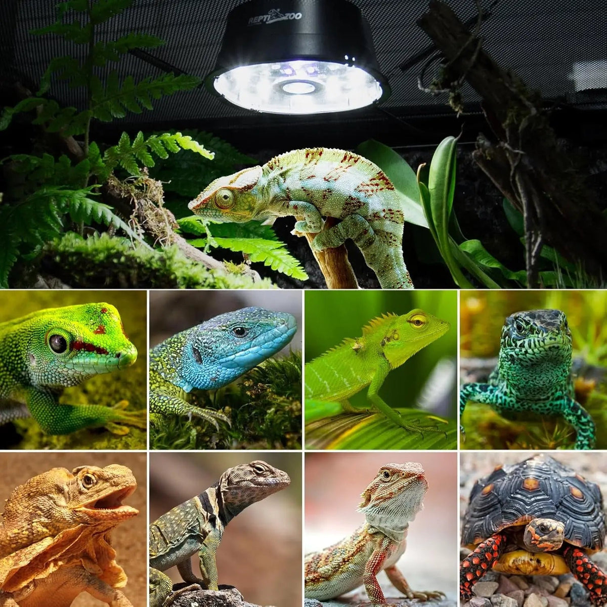 Dimmable UVB Reptile Light LED UVA UVB Lamp Tropical Desert Fixture