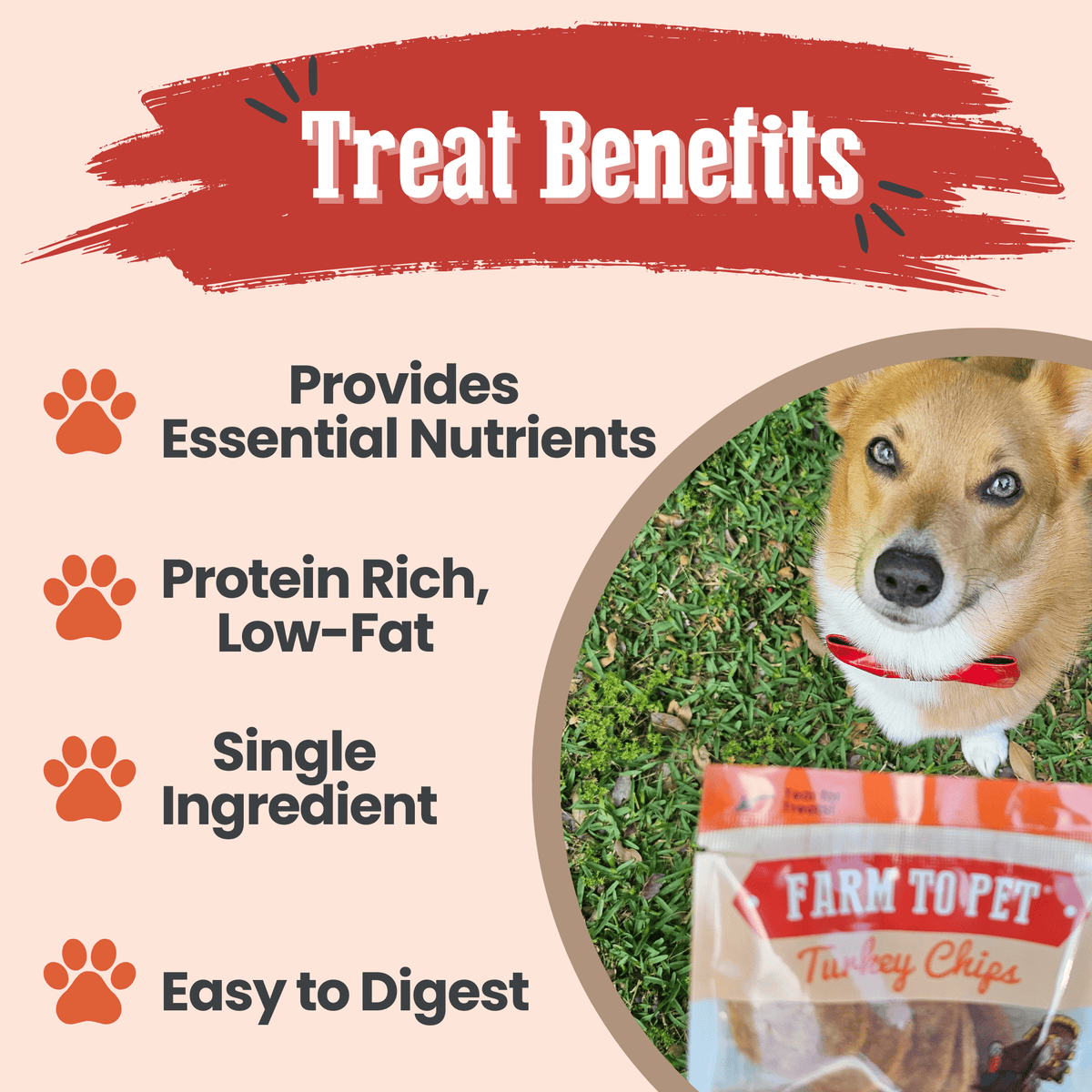 Turkey Chips Snack Pack Bundles | Low Allergen Treats for Training