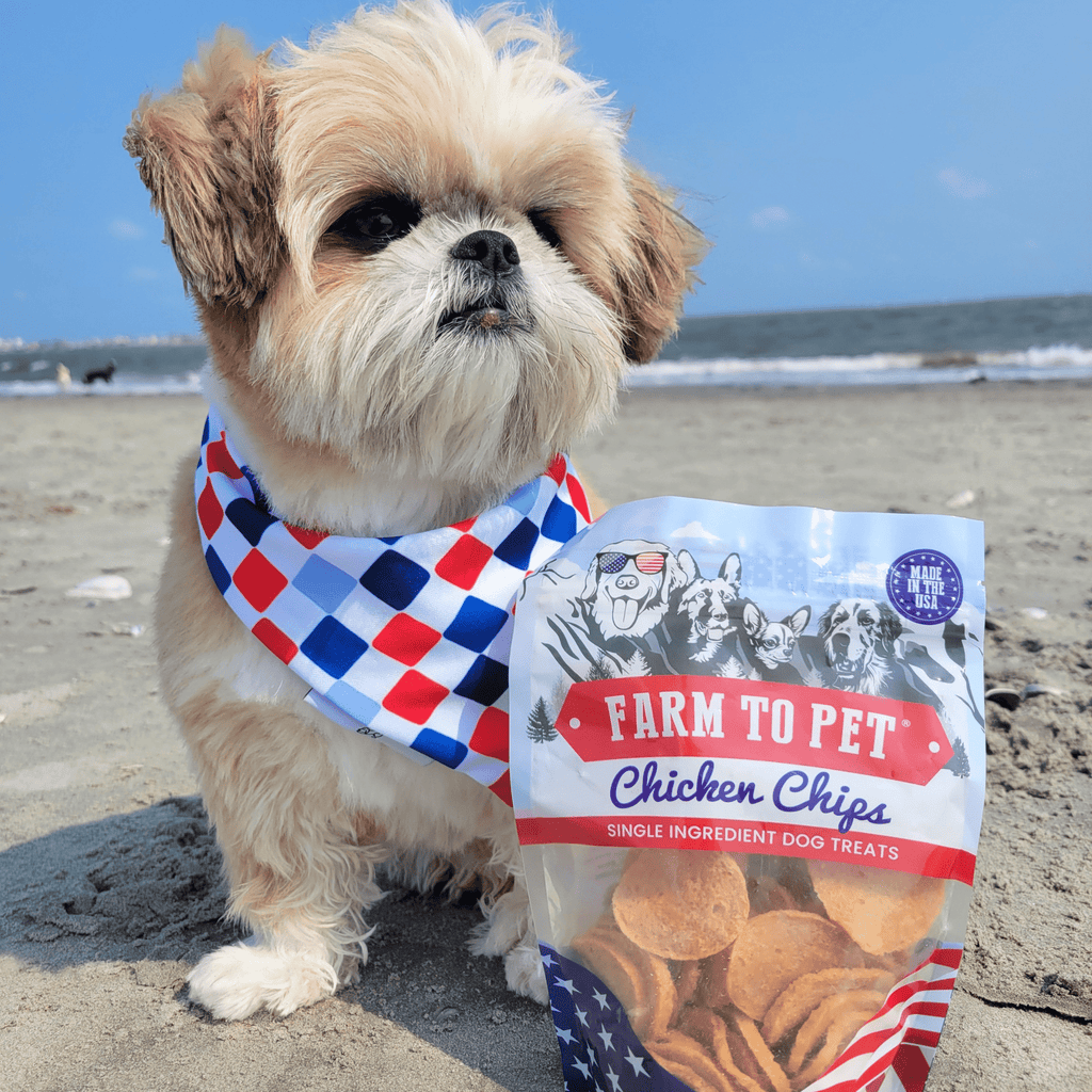 Americana Chicken Chips for Dogs | Celebrate with USA-made Dog Treats