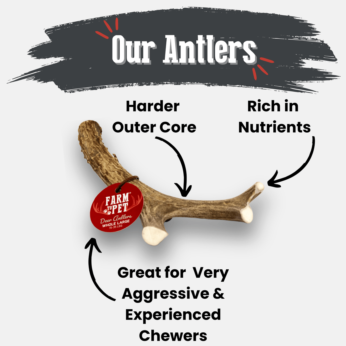 Deer Antler Dog Chews | Organic Chews for Dogs