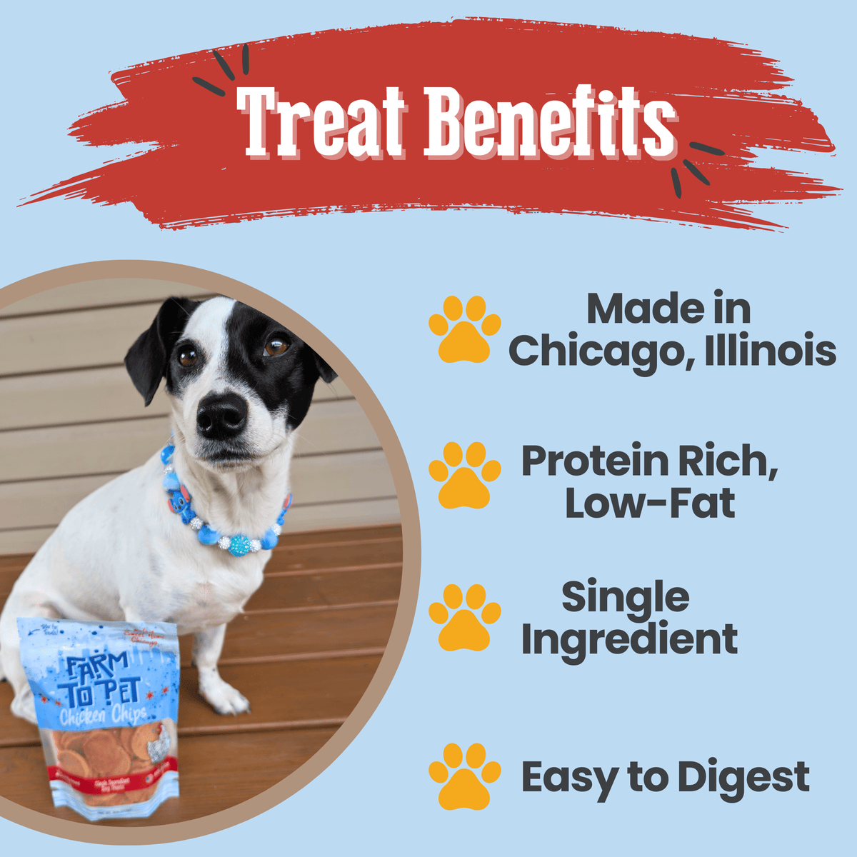 Chicago Chicken Chips for Dogs | Dog Treats To Celebrate Our Hometown