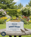Higgins Spray Millet Bird Treats Non-GMO Natural Foraging All Birds 5lbs.