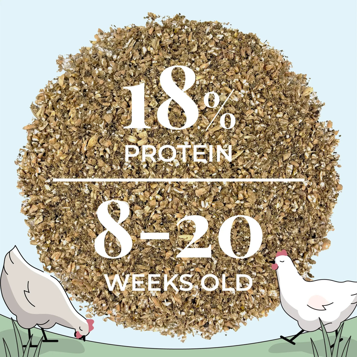 Grower Feed Kit | 12 Weeks of Organic Feed & Grit for 10 Pullets