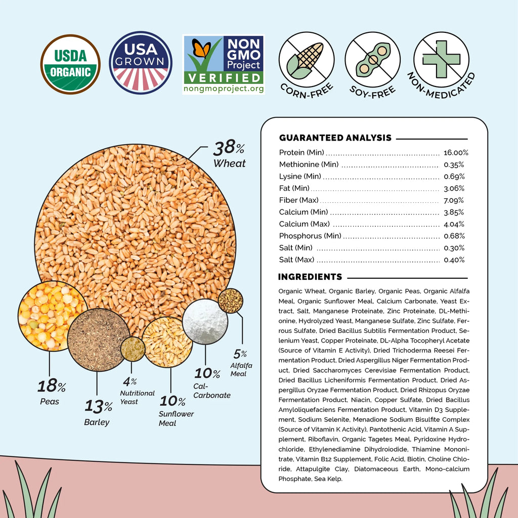 Layer Feed Kit | 1 Month of Organic Feed, Grit & Oyster Shell for 10 Layers