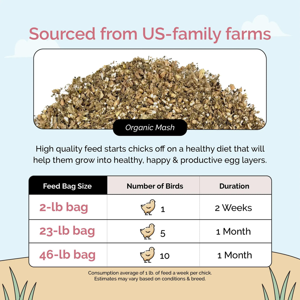 Starter Organic Chick Feed