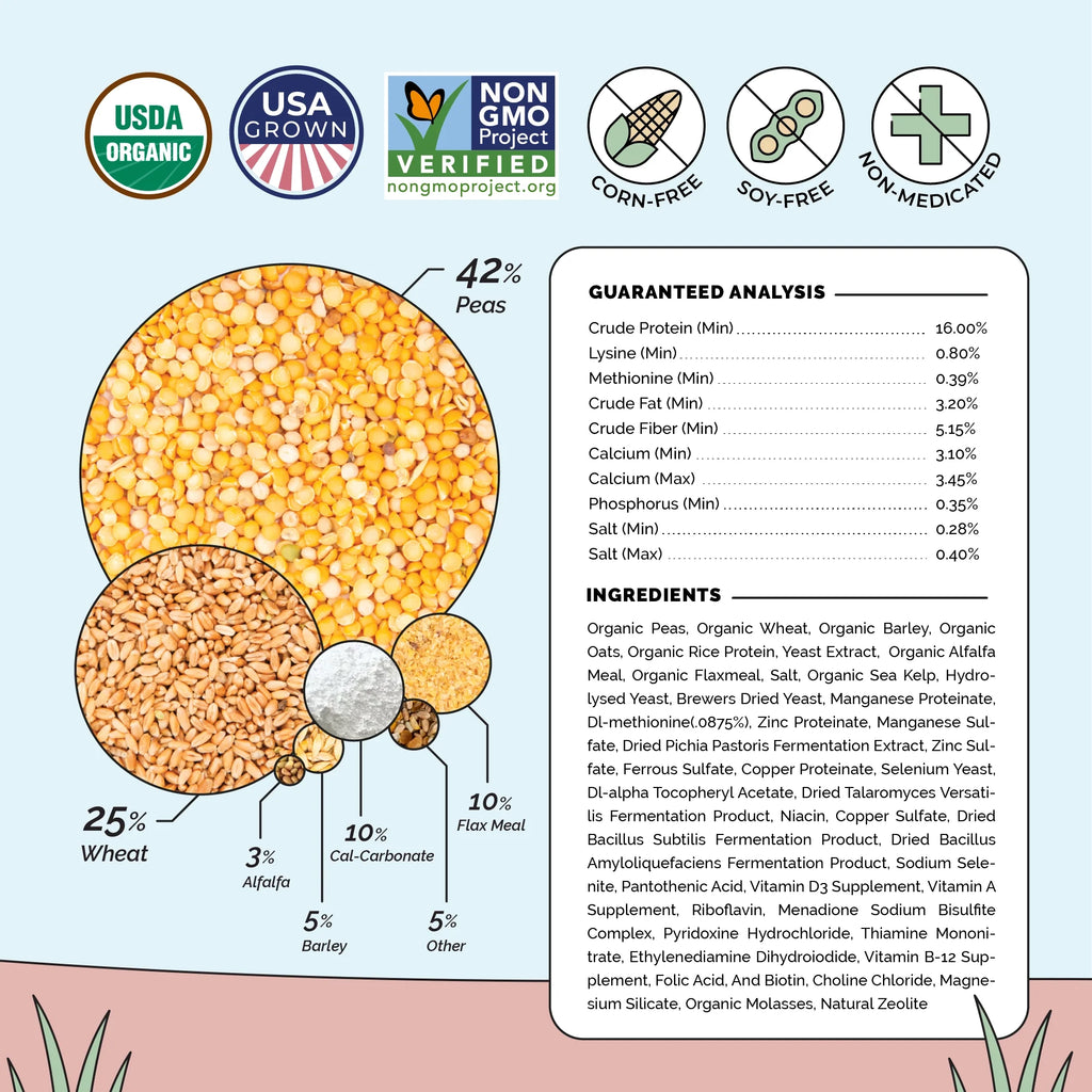 Layer Feed Kit | 1 Month of Organic Feed, Grit & Oyster Shell for 10 Layers