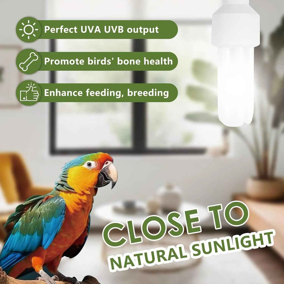 UVA UVB Bird Light Bulb 20W, Full Spectrum Lamp for Captive Birds