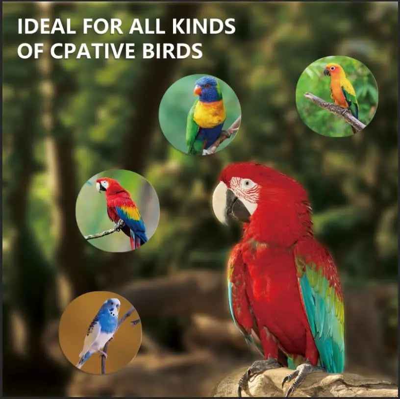 UVA UVB Bird Light Bulb 20W, Full Spectrum Lamp for Captive Birds