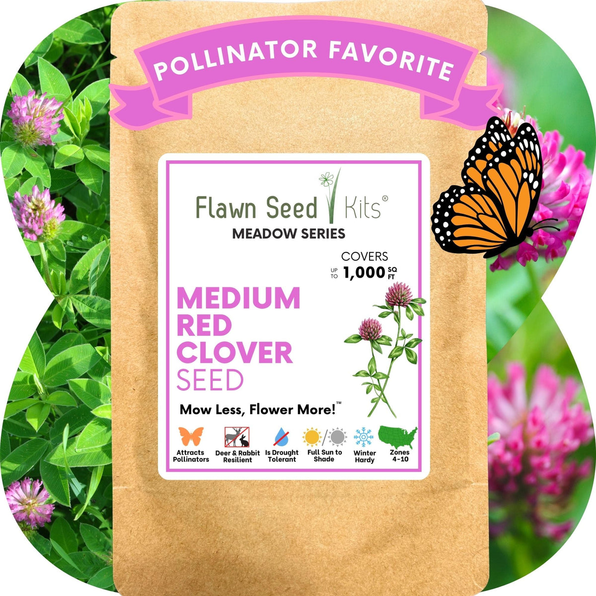 Medium Red Clover Seed