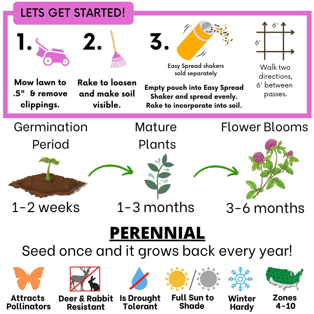 Medium Red Clover Seed
